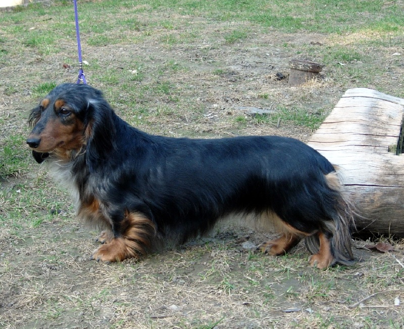 CH. Flore du domaine de Locus