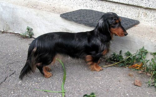 CH. Jolie flore du domaine de Locus
